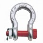 Forged Steel Bow Shackle
