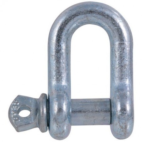 Forged Steel D-Shackle