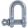 Forged Steel D-Shackle