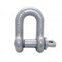 Forged Steel D-Shackle