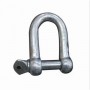 Forged Steel D-Shackle
